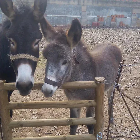 Ca La Mati Apartamento Beceite