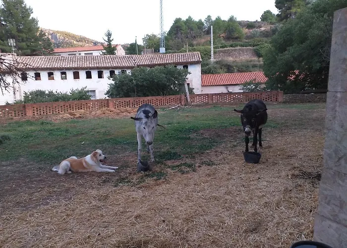 Ca La Mati Lejlighed Beceite