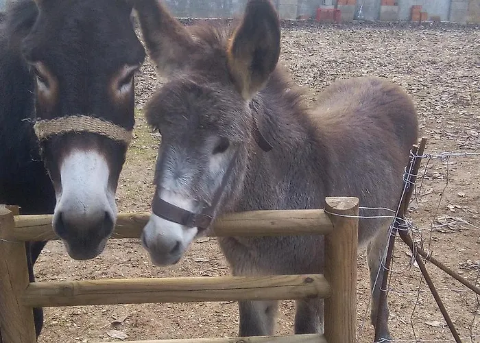 Ca La Mati Lejlighed Beceite